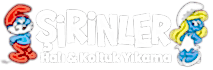 Silivri Koltuk & Halı Yıkama Logo